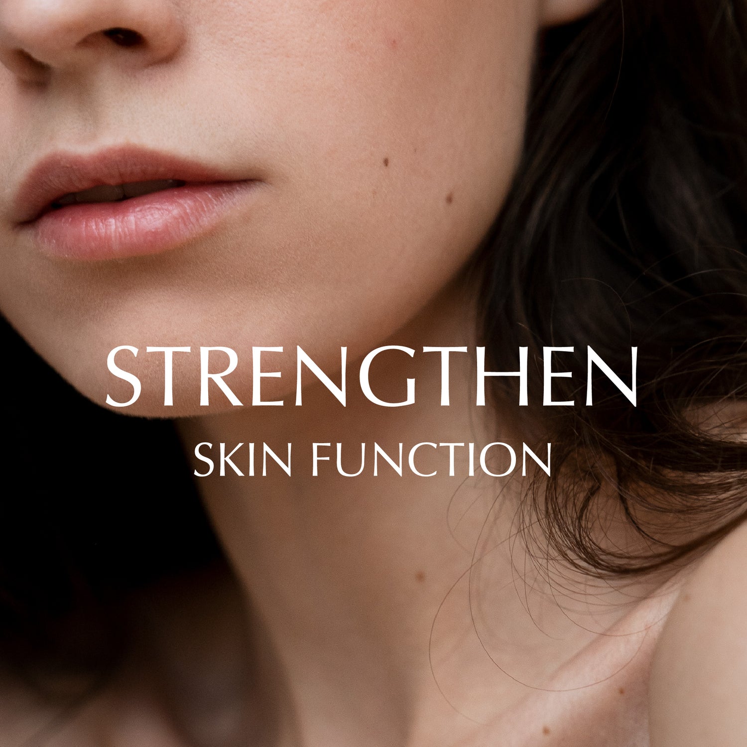 Strengthen Skin Function